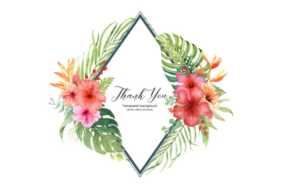 Download Hibiscus Flower Frames - Premium Resources